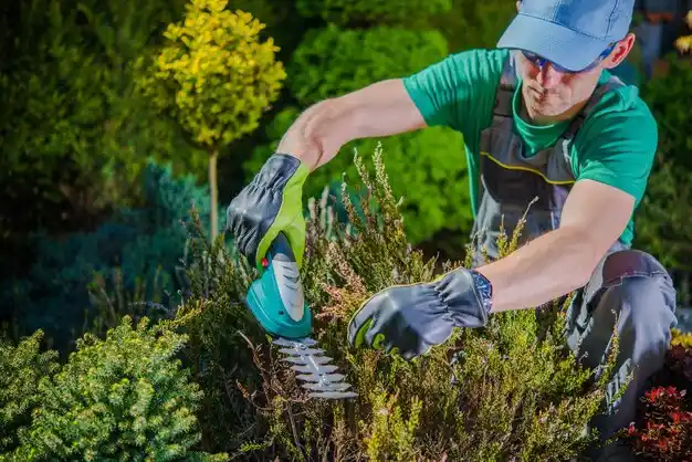 landscaping services Bayou Country Club